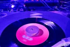 250503_TWF_Spring-Shake3-cArtist