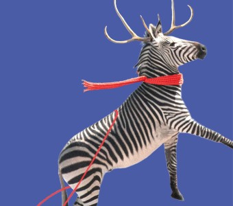 Teaserkastl Weihnachten 2025